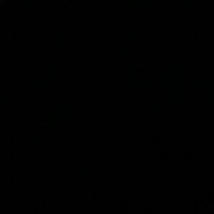 Meet your Posher, Priya